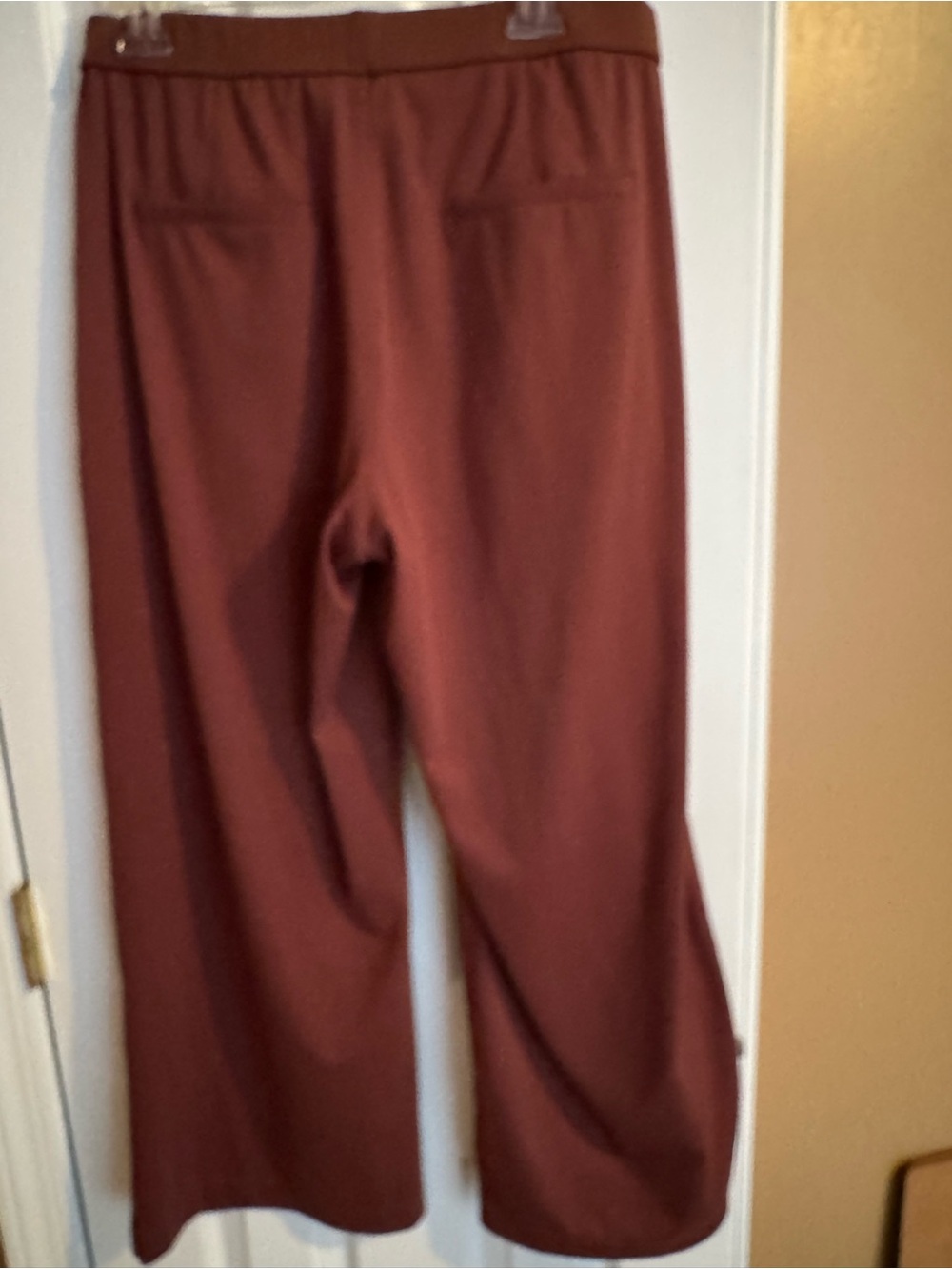 HALARA Wide-Leg Pants in Deep Rust - Picture 2 of 4